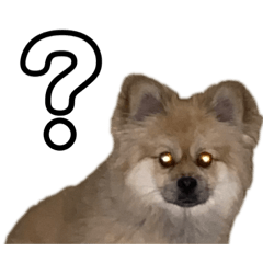 [LINEスタンプ] ぶんたた