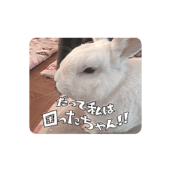 [LINEスタンプ] ゆる小梅スタンプ1