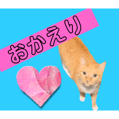 [LINEスタンプ] ゲンちゃんスタンプ1