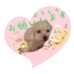 [LINEスタンプ] ♡cinnamon♡