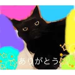 [LINEスタンプ] 黒猫 ルナ3にゃんめの画像（メイン）