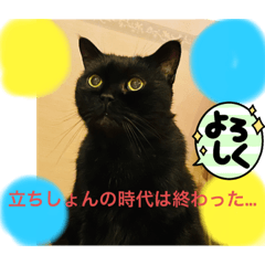 [LINEスタンプ] 黒猫 ルナ院長3 にゃんめ