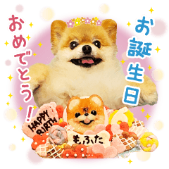 [LINEスタンプ] ポメラニアンもふた⑥【イベント篇】