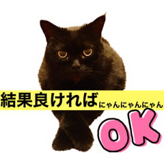 [LINEスタンプ] 黒猫 ルナ院長7にゃんめの画像（メイン）