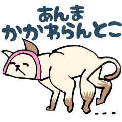 [LINEスタンプ] 大阪弁の保護猫 かまぼこ