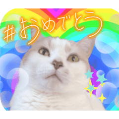 [LINEスタンプ] 晴れたらいいね