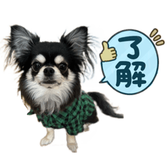 [LINEスタンプ] ★OREO★
