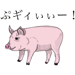 [LINEスタンプ] 癒される！身近な動物