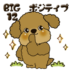 [LINEスタンプ] 【Big】プードル犬 12『ポジティブ』の画像（メイン）