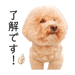 [LINEスタンプ] 六郎・月渡・ランちゃん