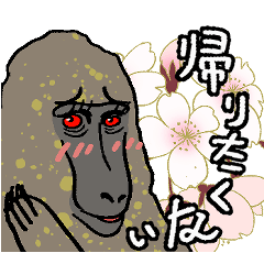 [LINEスタンプ] ヒヒです-J