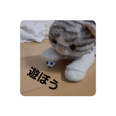 [LINEスタンプ] ねこの1日❗