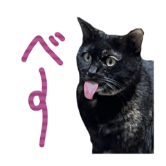 [LINEスタンプ] ねこちゃんず☆すたんぷ2