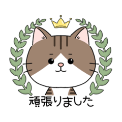 [LINEスタンプ] ゆるいねこさんのスタンプ-カラフル-