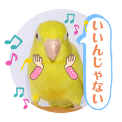 [LINEスタンプ] マメルリハ達4
