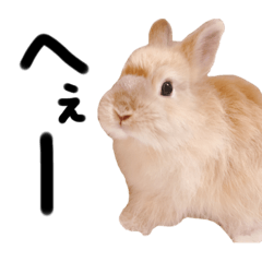 [LINEスタンプ] もふもふウリ君