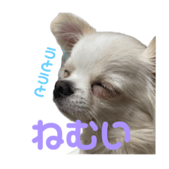 [LINEスタンプ] ココ＆のあスタンプ1