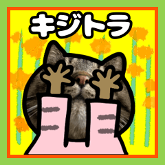 [LINEスタンプ] キジトラ猫 春のスタンプ12