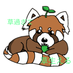 [LINEスタンプ] 一般市民に対してのレッサーパンダちゃん