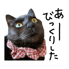 [LINEスタンプ] くろねこくりかのこ のびのび〜3