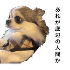 [LINEスタンプ] 再び喋るおちち
