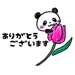 [LINEスタンプ] パンダのパンちゃん！日常会話編