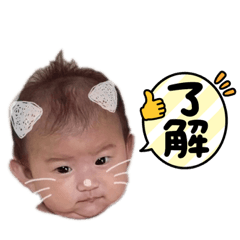 [LINEスタンプ] こっちゃん2ヶ月スタンプの画像（メイン）