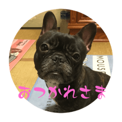 [LINEスタンプ] koume生活