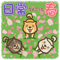 [LINEスタンプ] 茶柴わん 黒柴わん 白柴わん 2