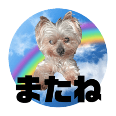 [LINEスタンプ] Jina is my best friend.(with Metor)