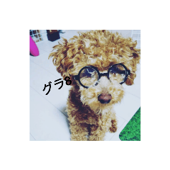 [LINEスタンプ] グラパの画像（メイン）