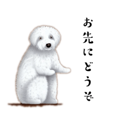 [LINEスタンプ] 白犬好きのスタンプ