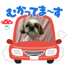 [LINEスタンプ] パン君 パート3