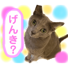 [LINEスタンプ] ルルandビビ