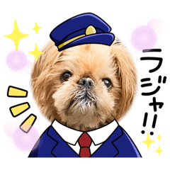 [LINEスタンプ] マルス Family8(ブリュッセル グリフォン)