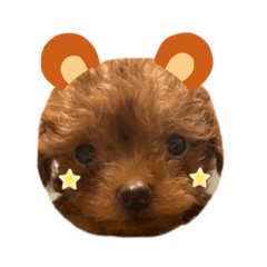 [LINEスタンプ] もっぷくんです