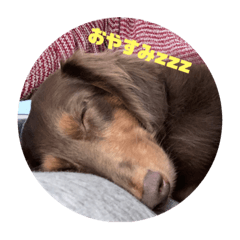 [LINEスタンプ] みぽぽぽのスタンプ