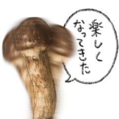 [LINEスタンプ] 喋りだすマツタケくん。