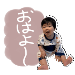 [LINEスタンプ] かいくんのご挨拶ෆ̈