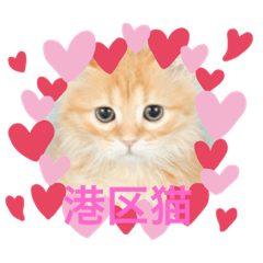 [LINEスタンプ] マンチカンのちくわさま2