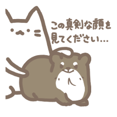 [LINEスタンプ] ねこらしきいきもの3