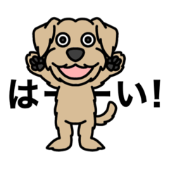 [LINEスタンプ] 元保護犬 今家庭犬 8