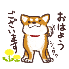 [LINEスタンプ] キリッと柴犬☆丁寧語多め春スタンプ