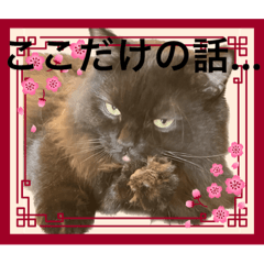 [LINEスタンプ] 黒猫 ルナ院長16にゃんめ