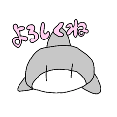 [LINEスタンプ] いつでも使える！イルカのLINEスタンプ