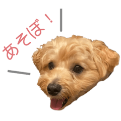 [LINEスタンプ] みんなだいすき！ヒナたろう
