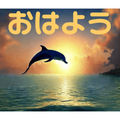 [LINEスタンプ] 【 朝陽の海 挨拶のスタンプです 】イルカの画像（メイン）