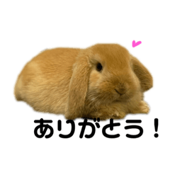 [LINEスタンプ] Yuzustamp#