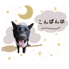 [LINEスタンプ] 甲斐犬ゆき♡あや♡