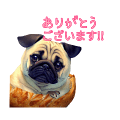 [LINEスタンプ] イヌとネコとパンと